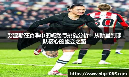 努涅斯在赛季中的崛起与挑战分析：从新星到球队核心的蜕变之路